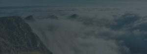 Te Mata Peak mist